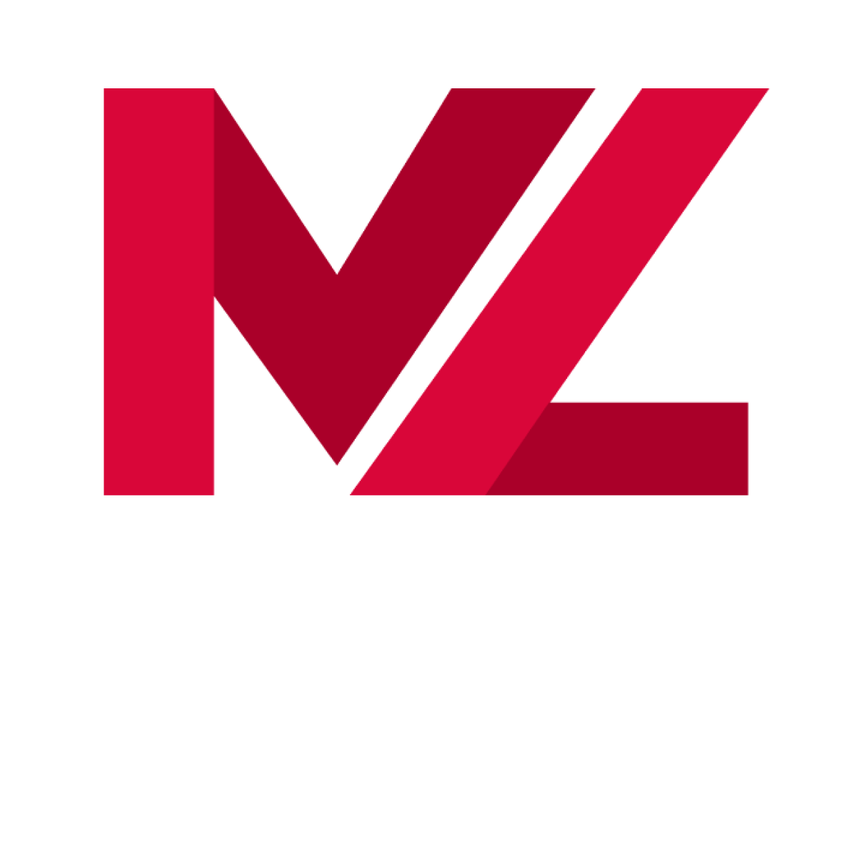 Movie Zone About Logo
