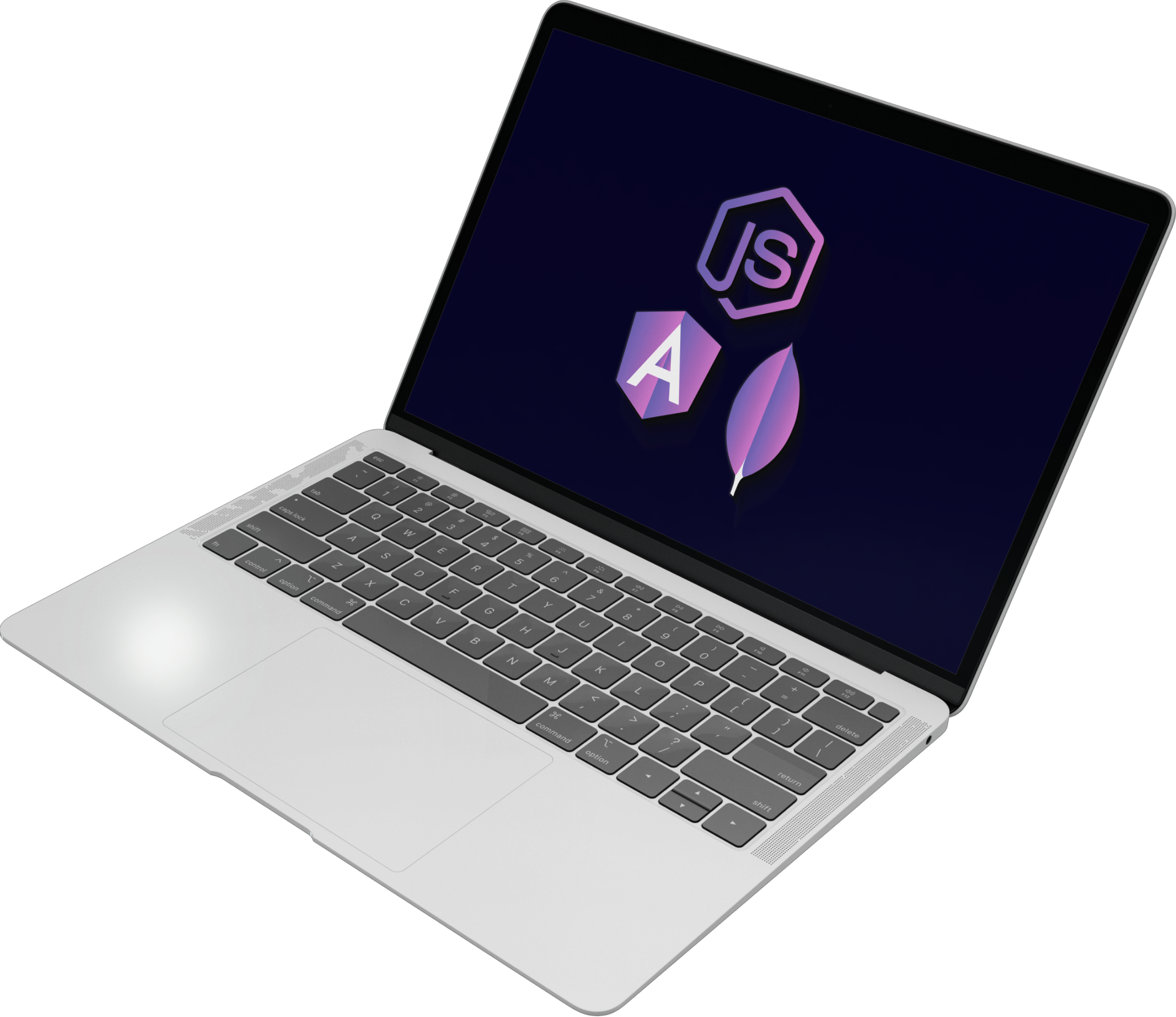 Full stack Website - icon