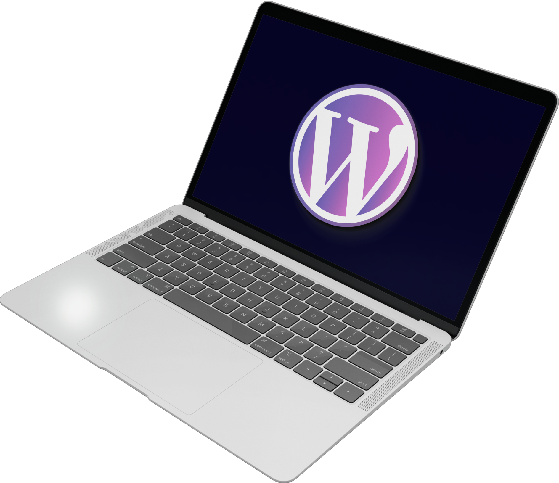 WordPress Website - icon